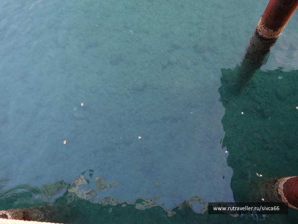 photo 1061933