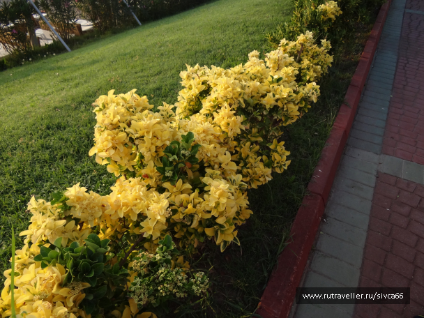 photo 1061943