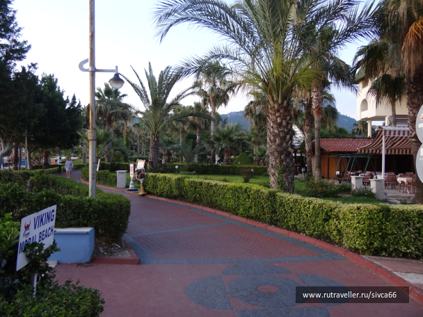 photo 1061950