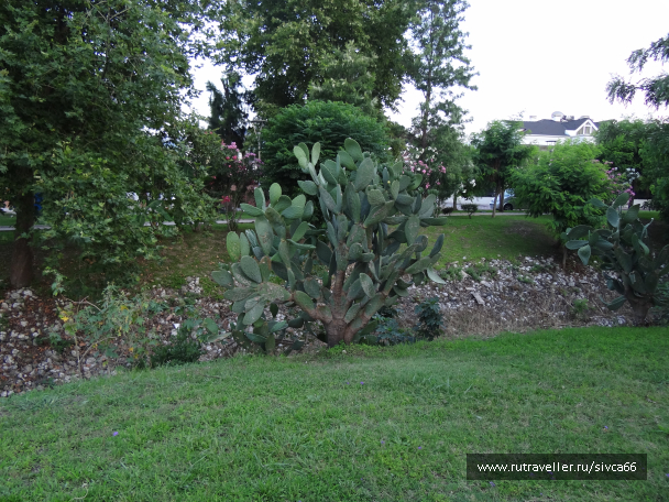 photo 1062018