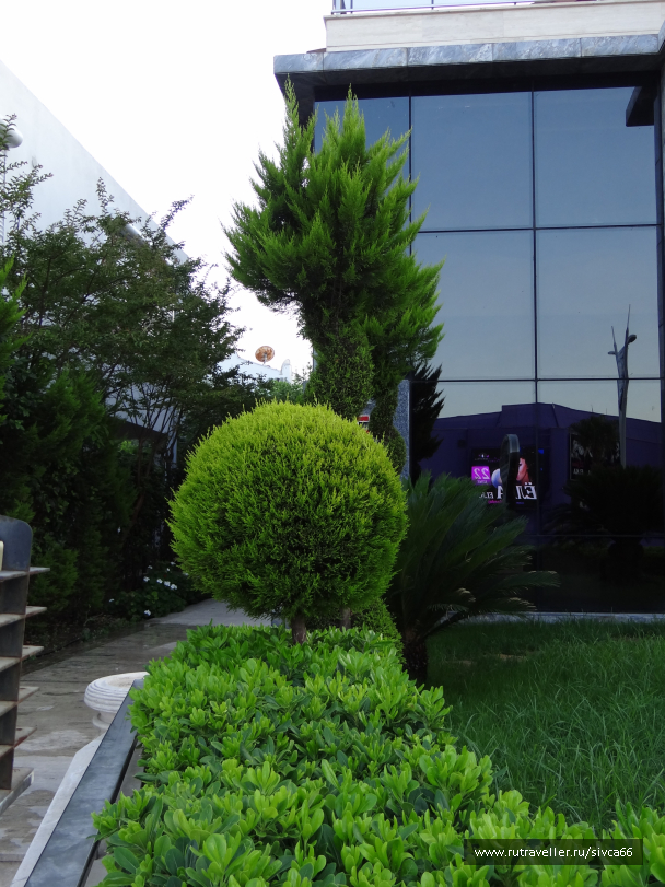 photo 1062024