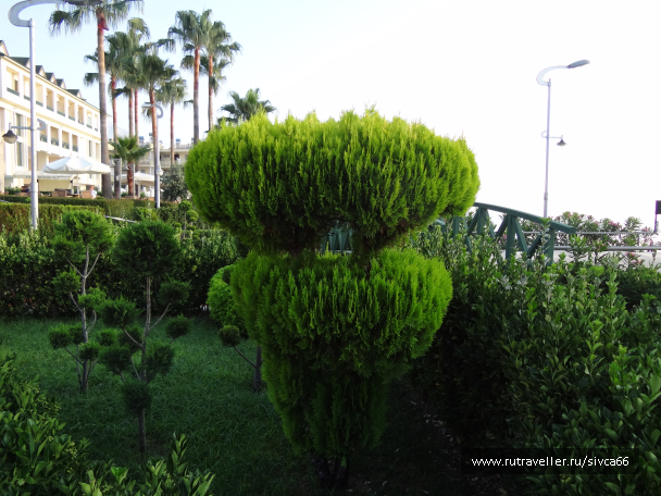 photo 1062047