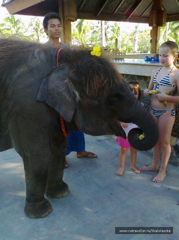 photo 212867