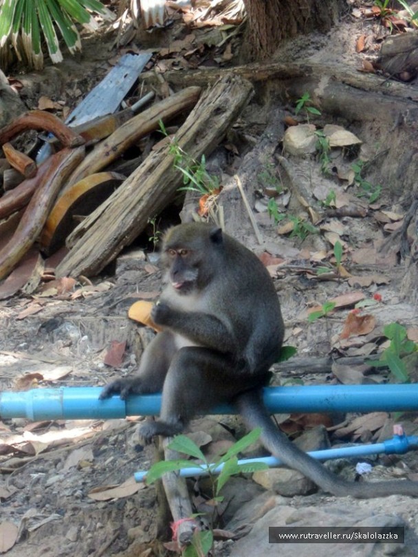 photo 212873