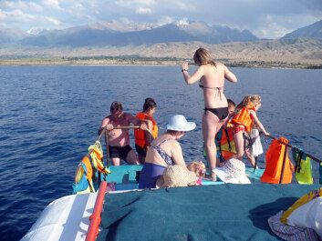 photo 229473