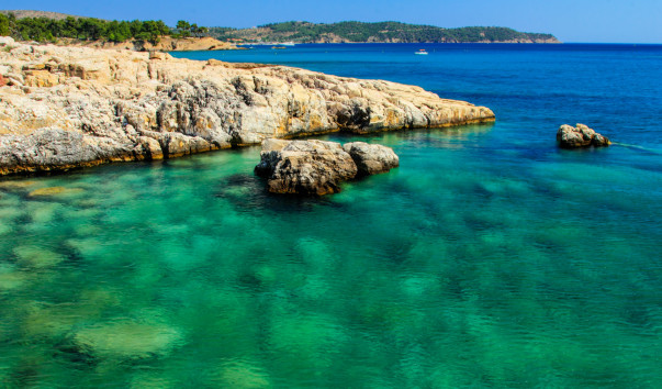 Tasos2013-2