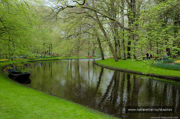 photo 234596