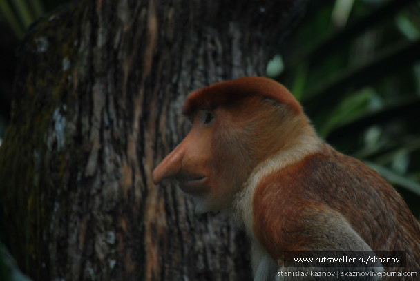 photo 235042