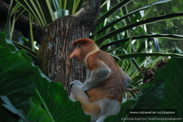photo 235043