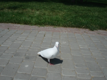 photo 761810