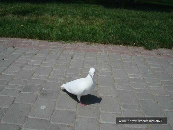 photo 761810