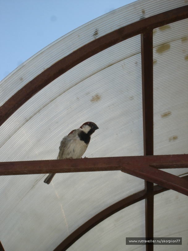 photo 761828