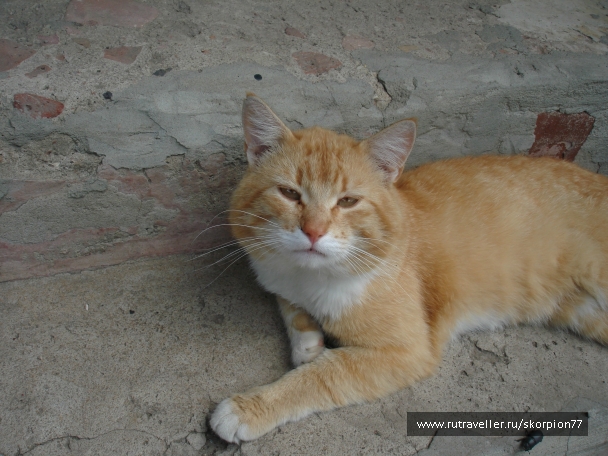 photo 766637