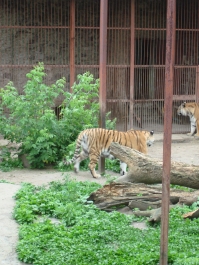 photo 811903