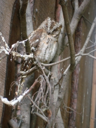 photo 811917