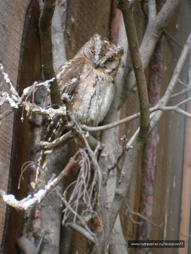 photo 811917