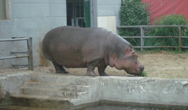 2010.06.05 044