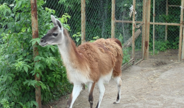 2010.06.05 043