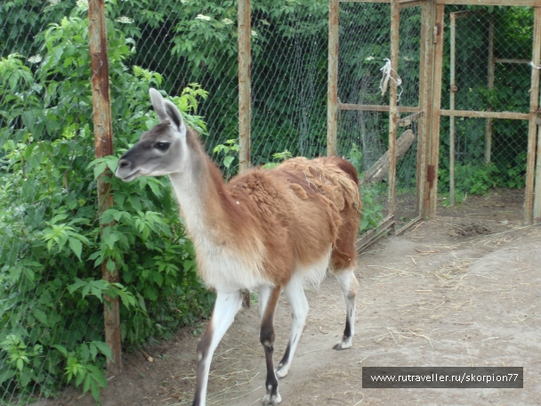 photo 811931
