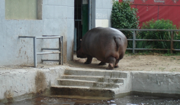 2010.06.05 042