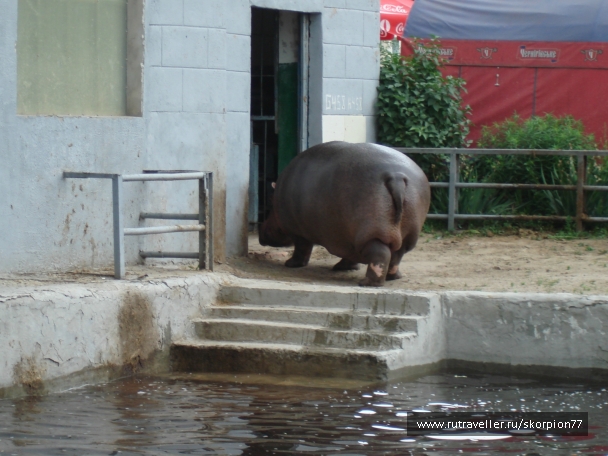 photo 811933