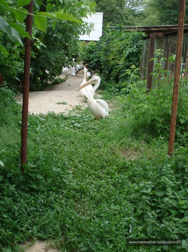 photo 811935