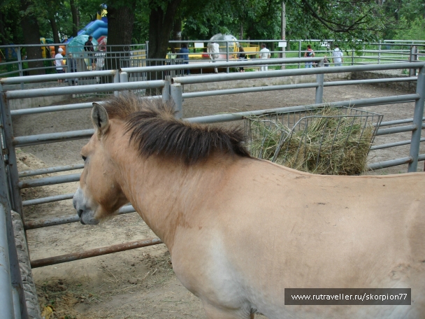 photo 811936
