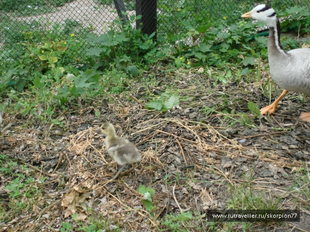 photo 811943