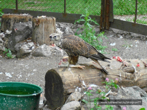 photo 841474