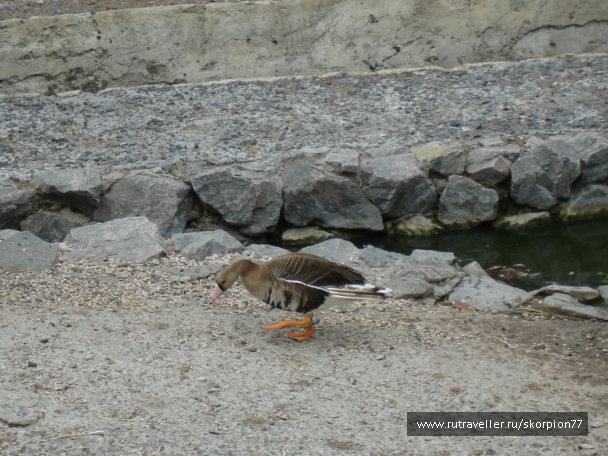 photo 841476