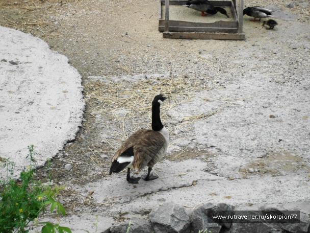 photo 841477