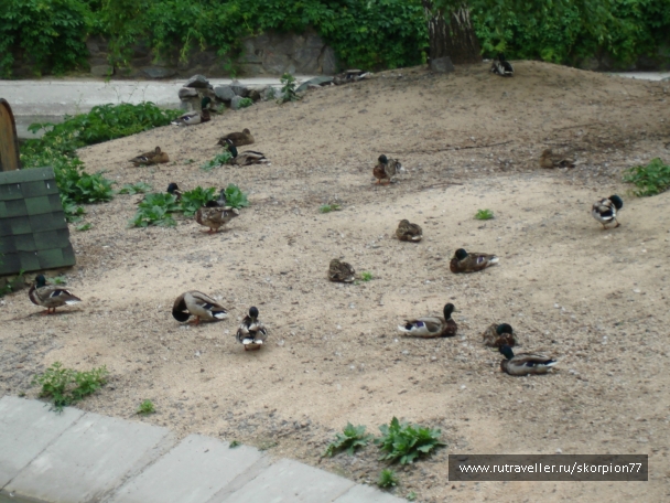 photo 841478