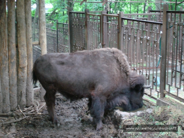 photo 841481