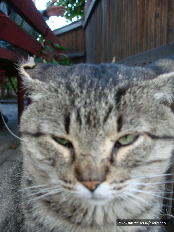 photo 889826