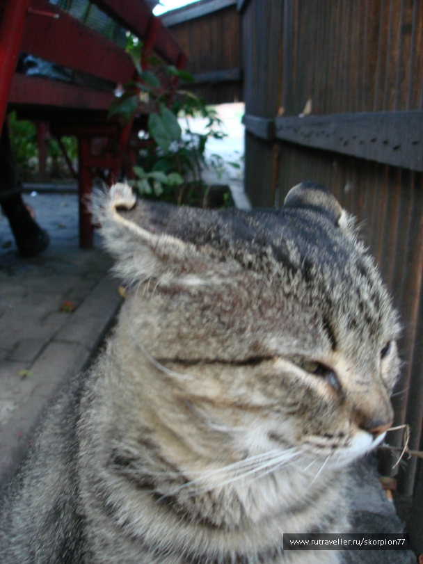 photo 889828