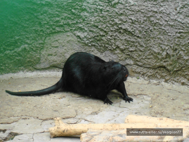 photo 920744