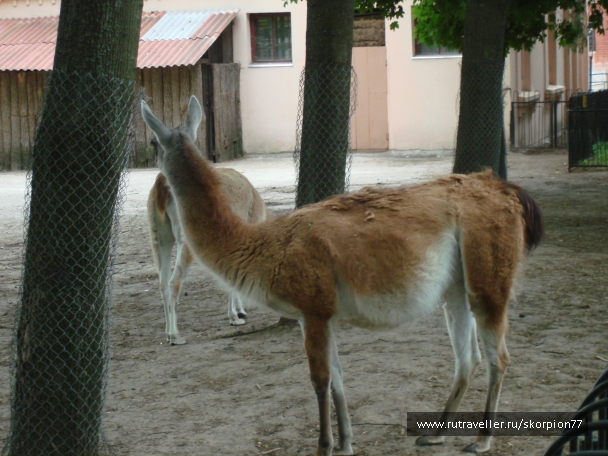 photo 920746