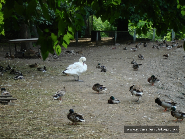 photo 920747