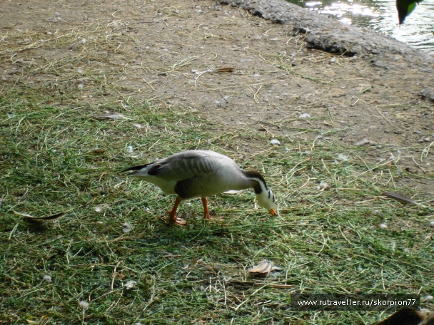photo 920748