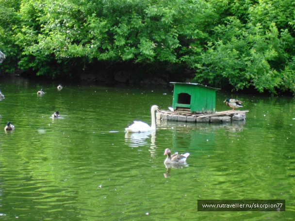 photo 920749
