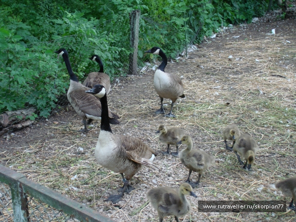 photo 920750