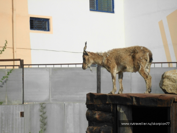 photo 920751
