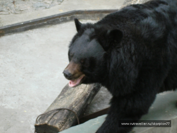 photo 920752