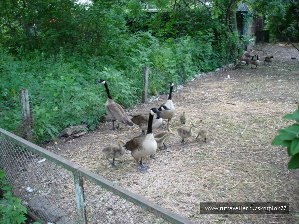 photo 920754