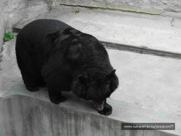 photo 920755