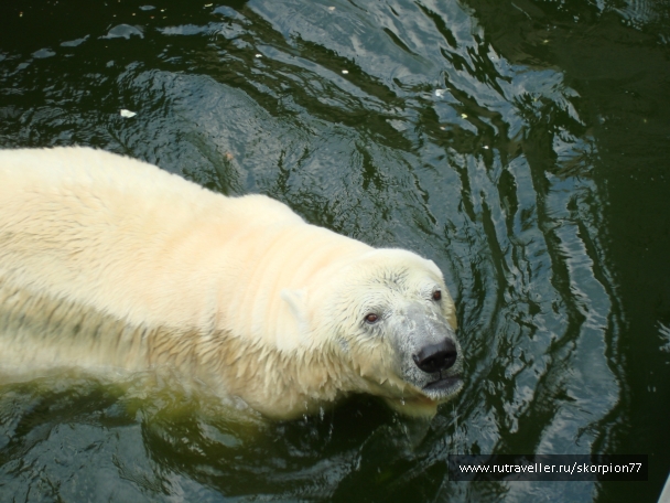 photo 920756