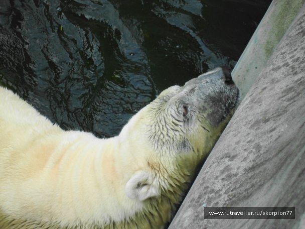 photo 920759