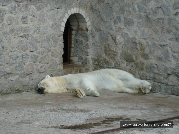 photo 920760