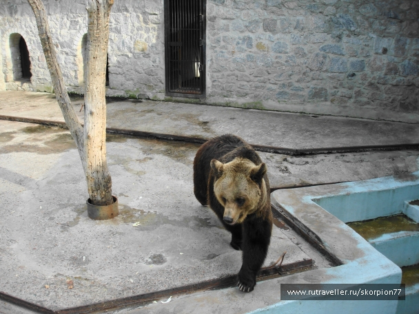 photo 920761