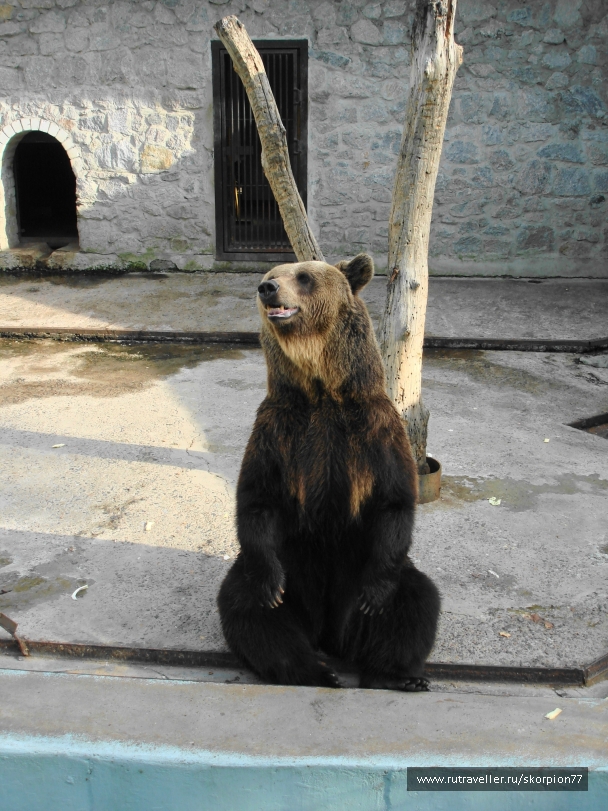 photo 920763